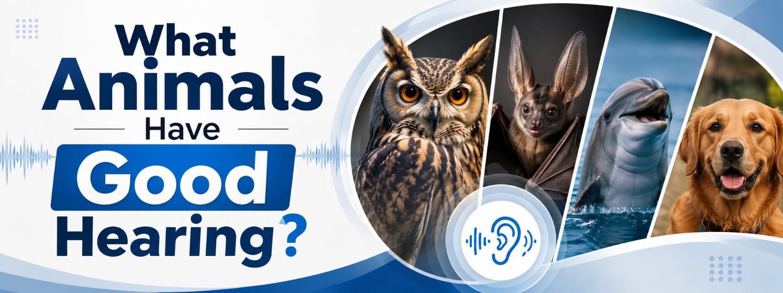 Read more about the article What Animals Have Good Hearing?